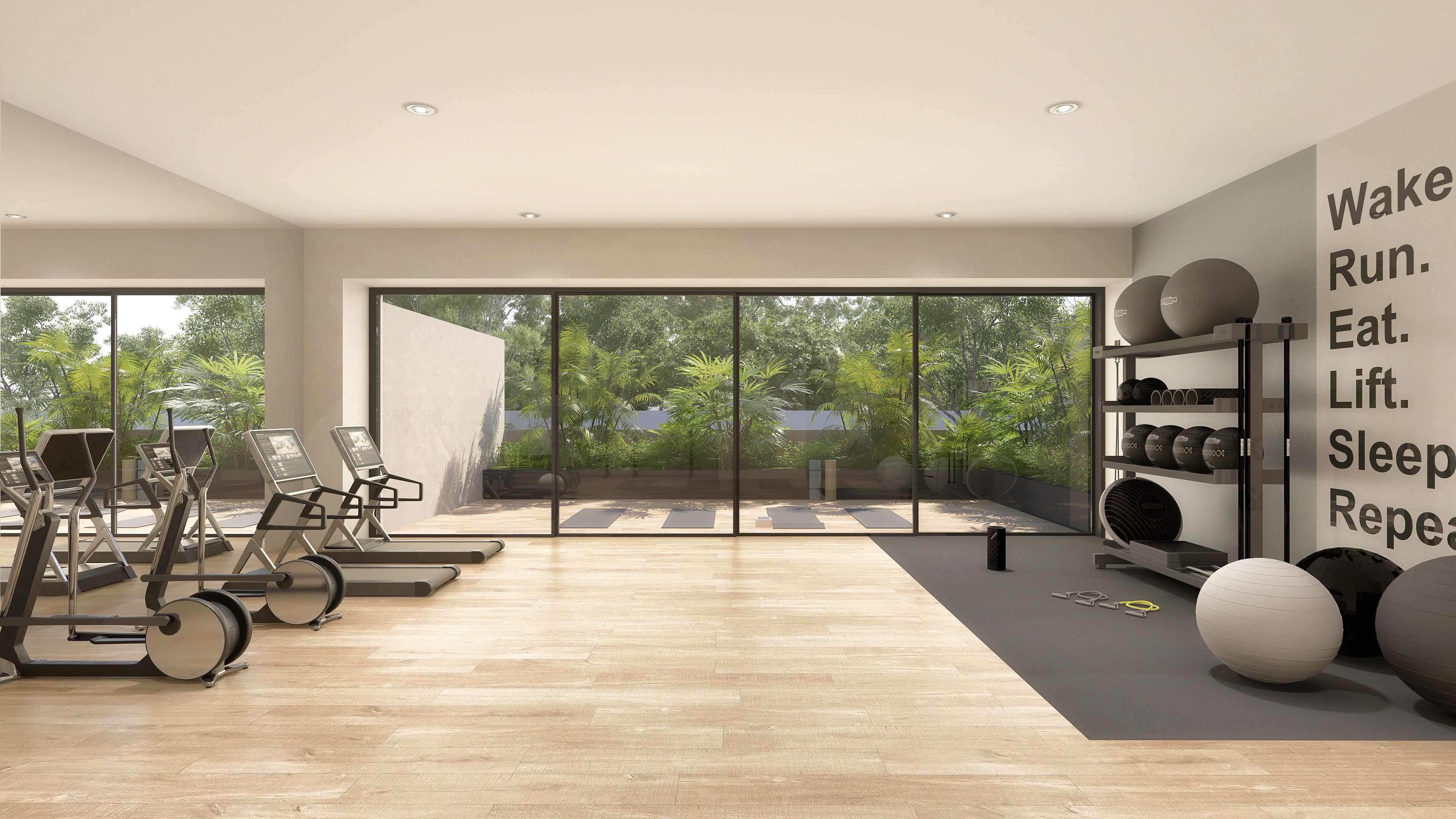 Gimnasio